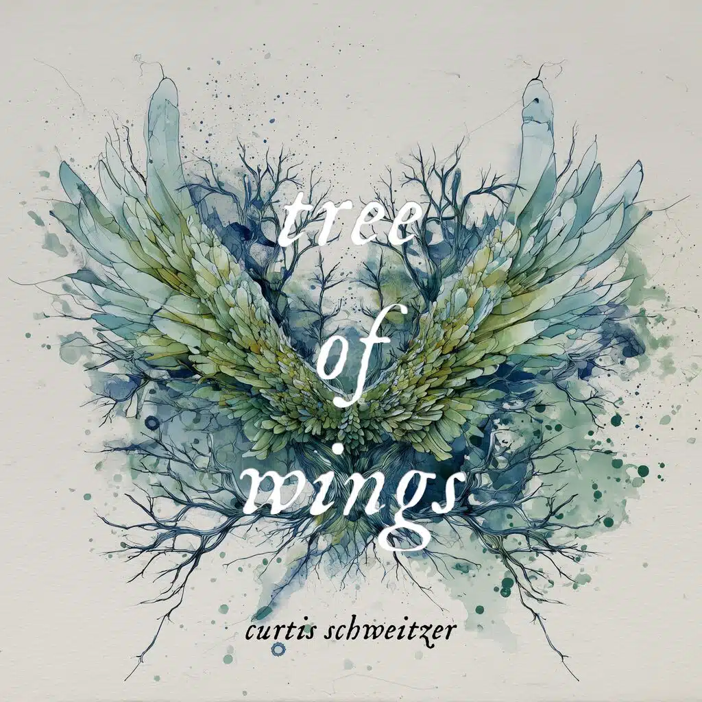 Curtis Schweitzer