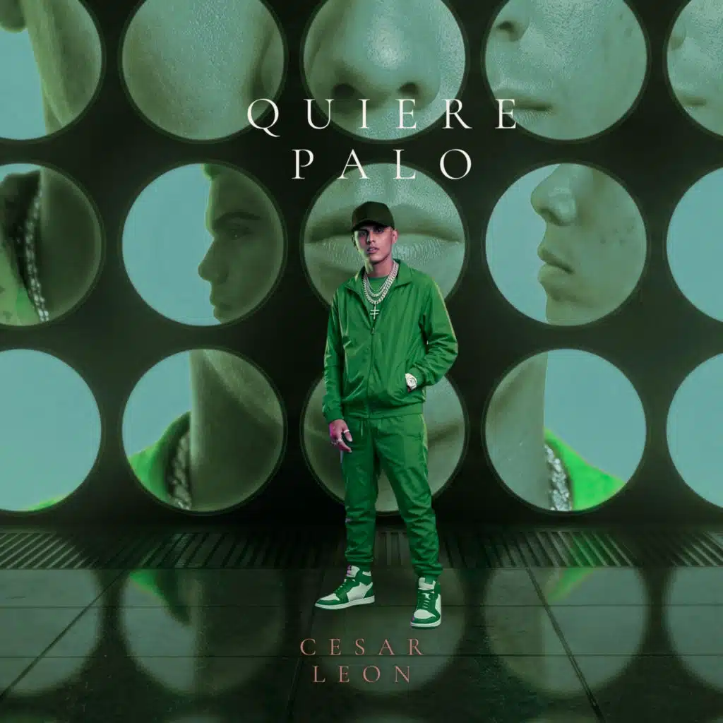 Quiere Palo