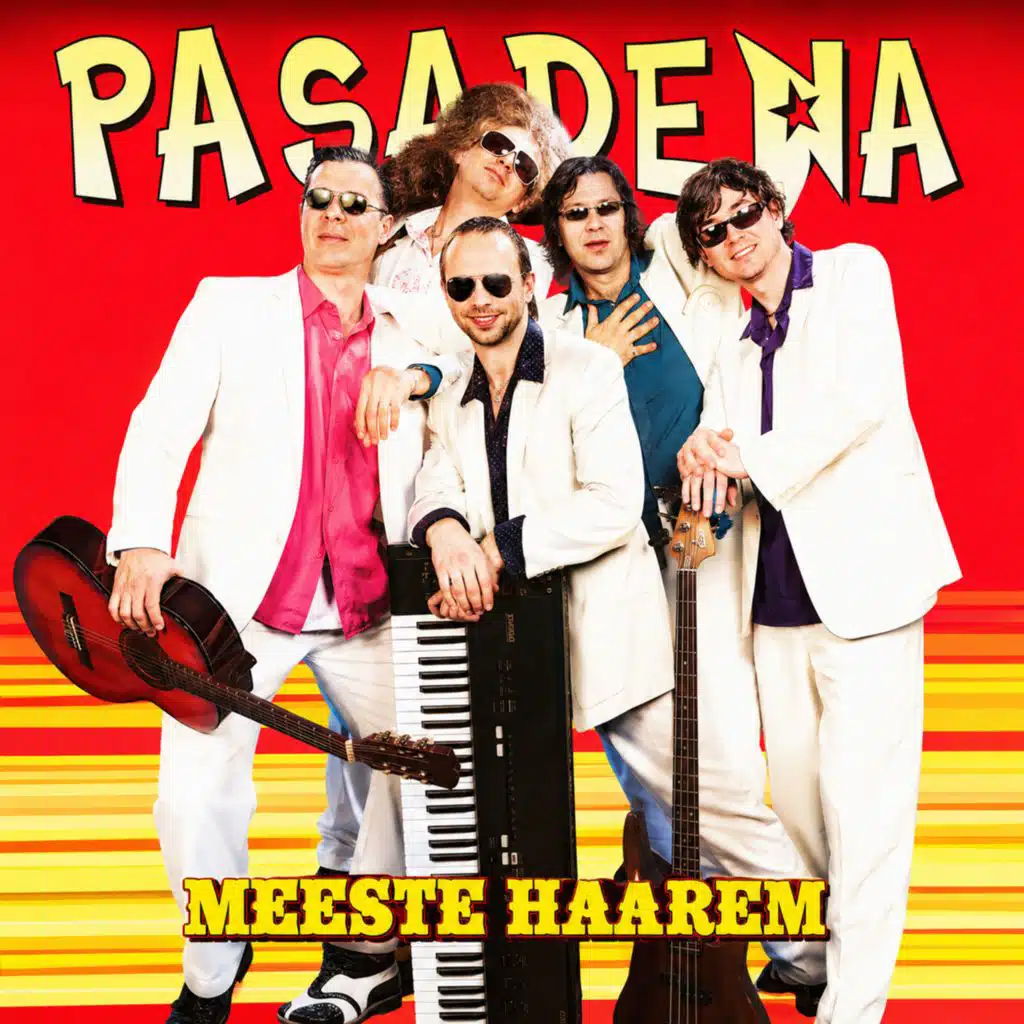 Meeste Haarem