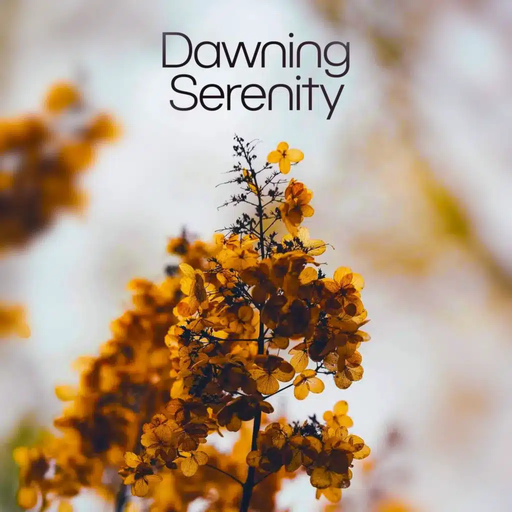 Dawning Serenity