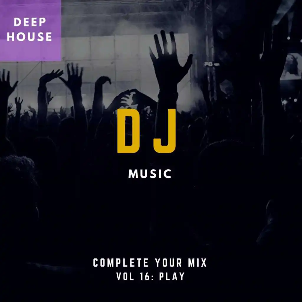 DJ Music - Complete Your Mix, Vol. 16