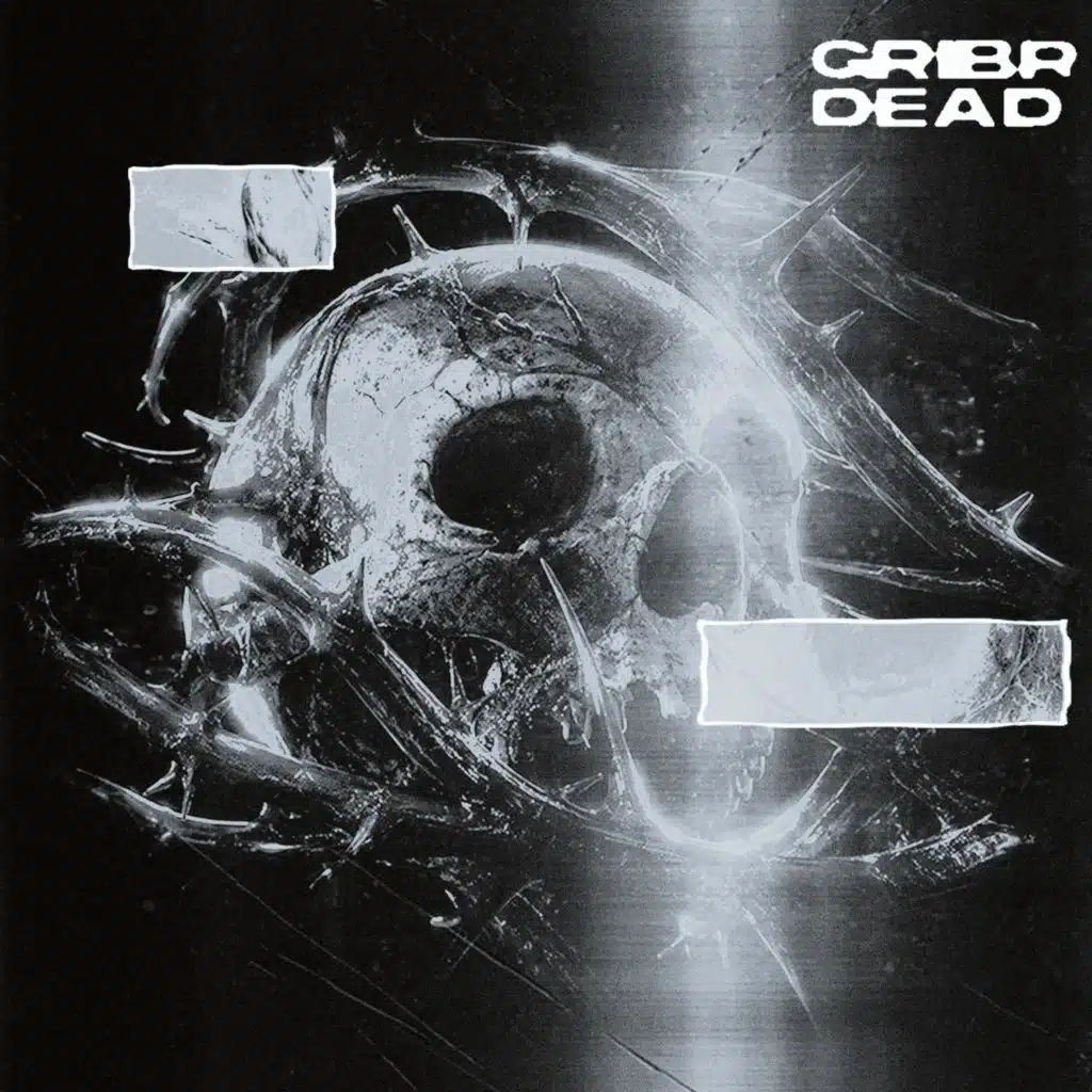 GRIBR