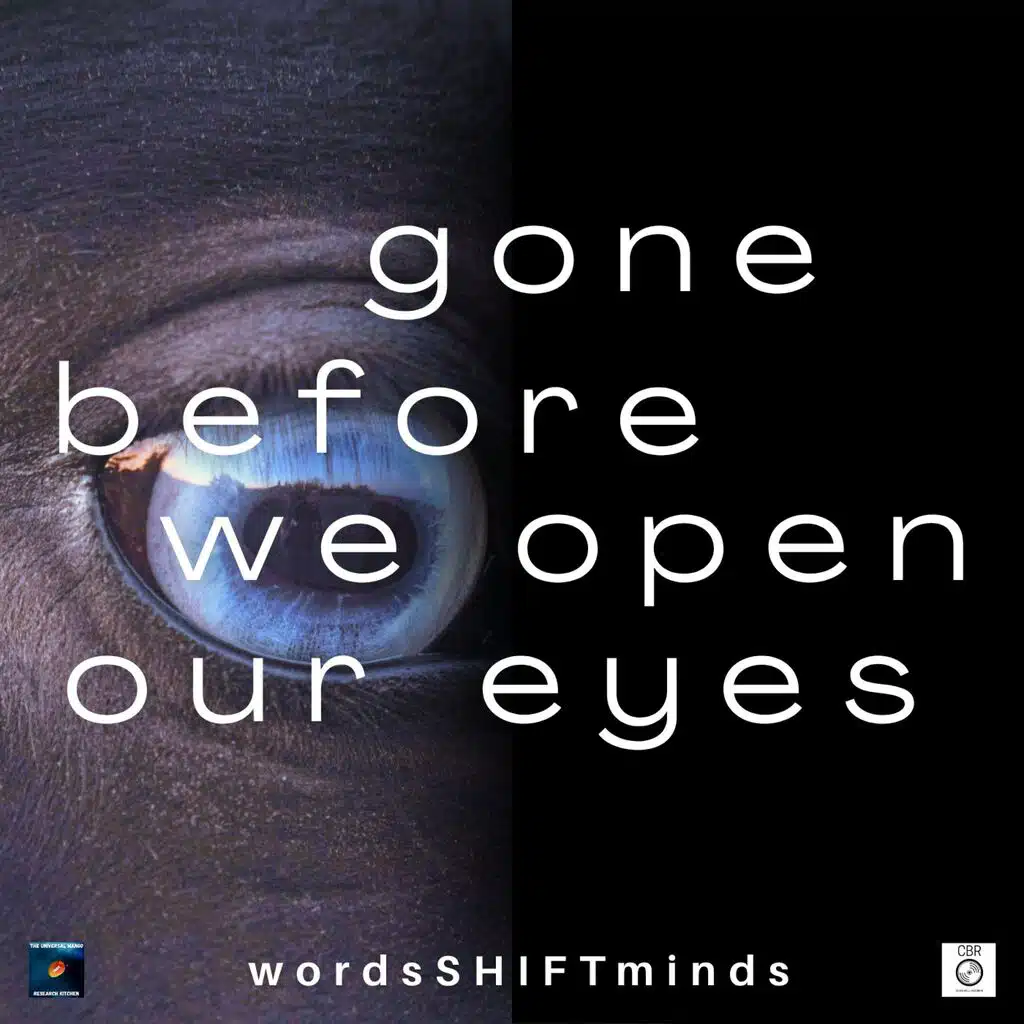 Wordsshiftminds