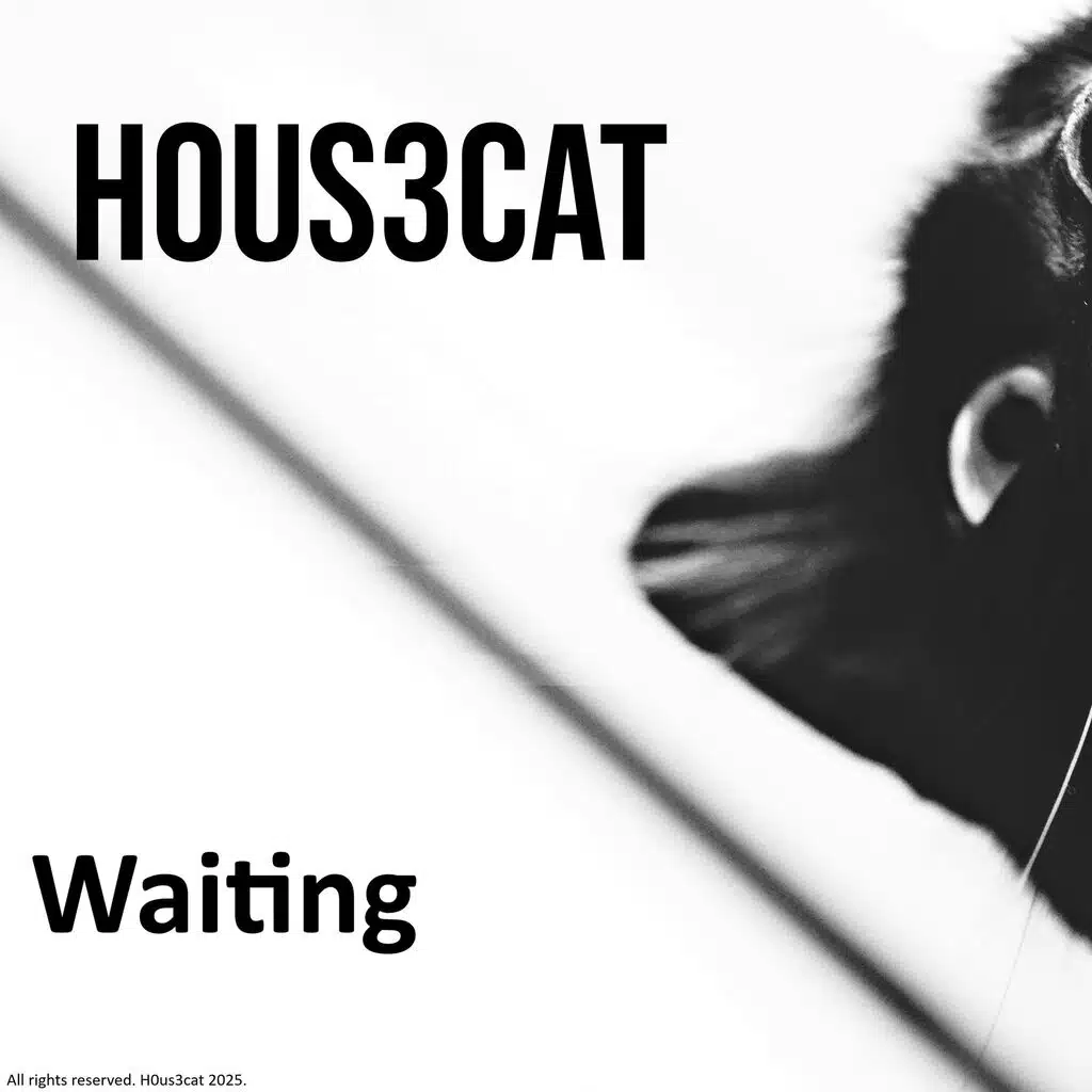 housecât