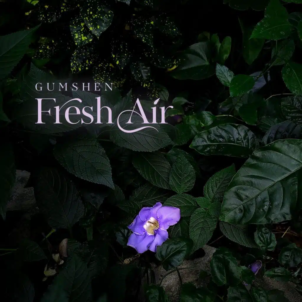 Fresh Air