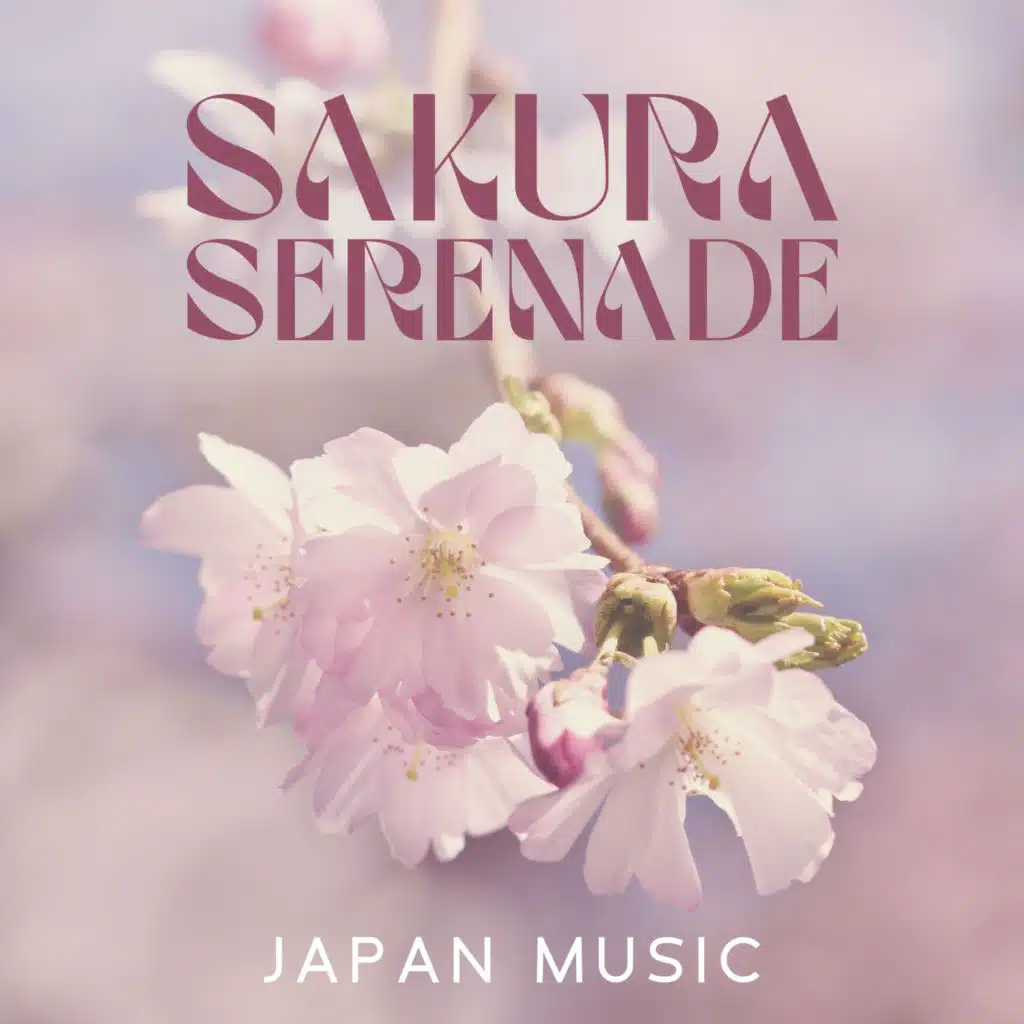 Sakura Serenade