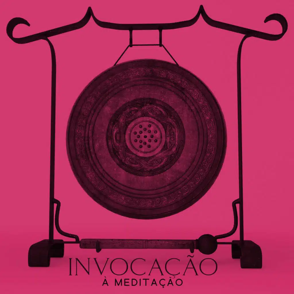 Invocação à Introspecção
