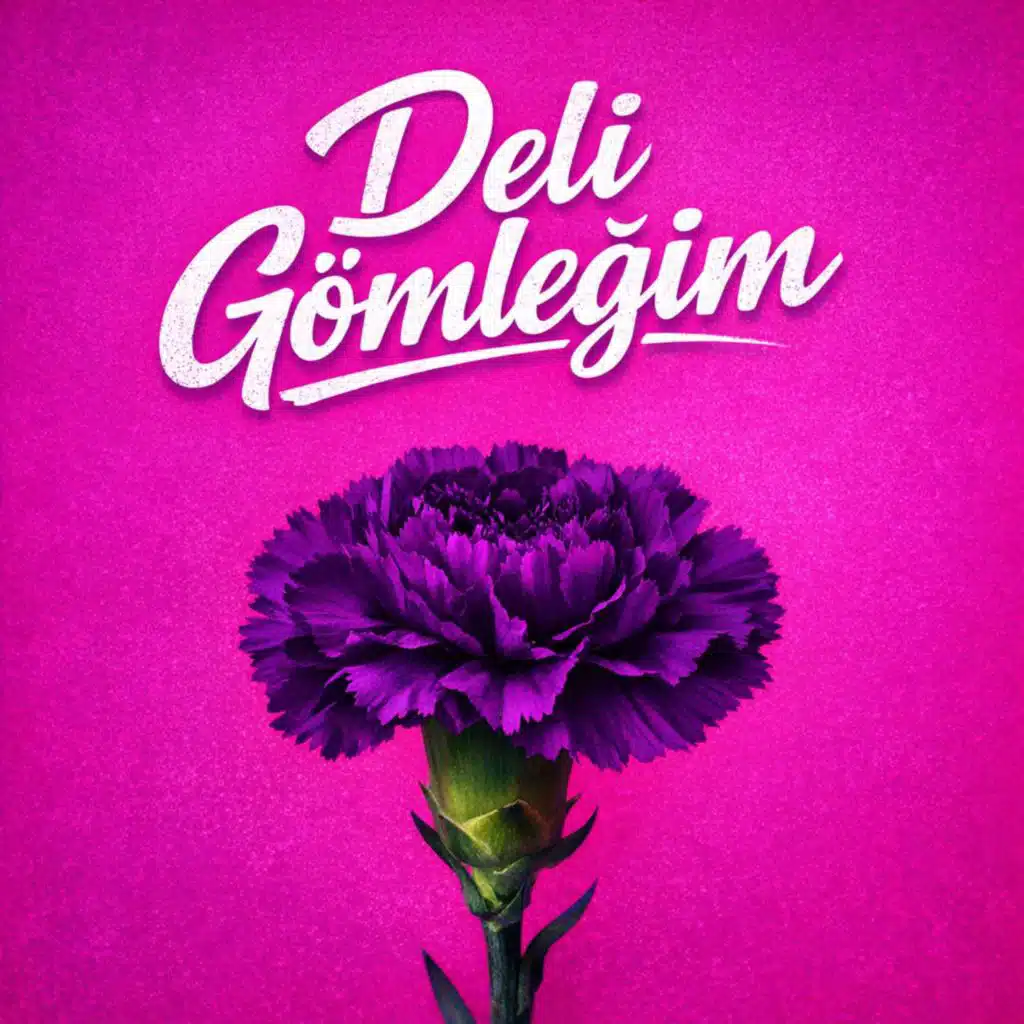 Deli Gömleğim