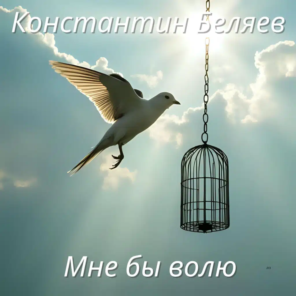 Мне бы волю