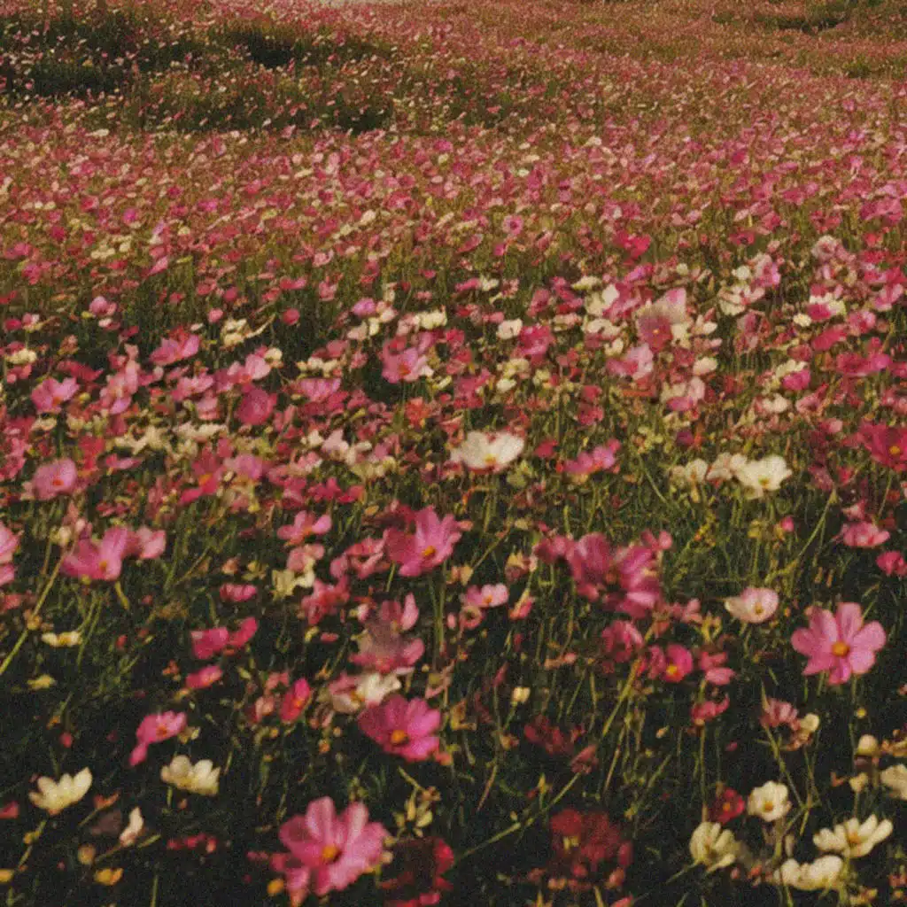Hello May