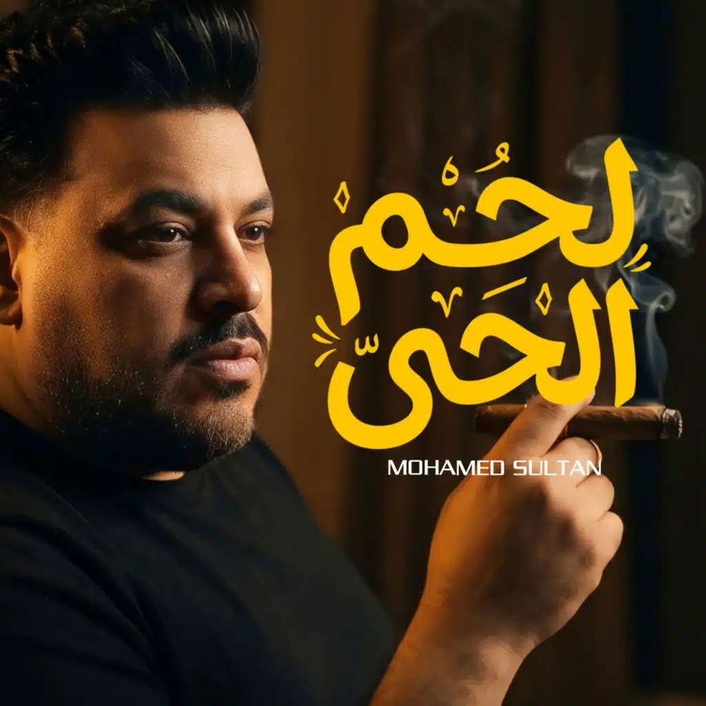 محمد سلطان