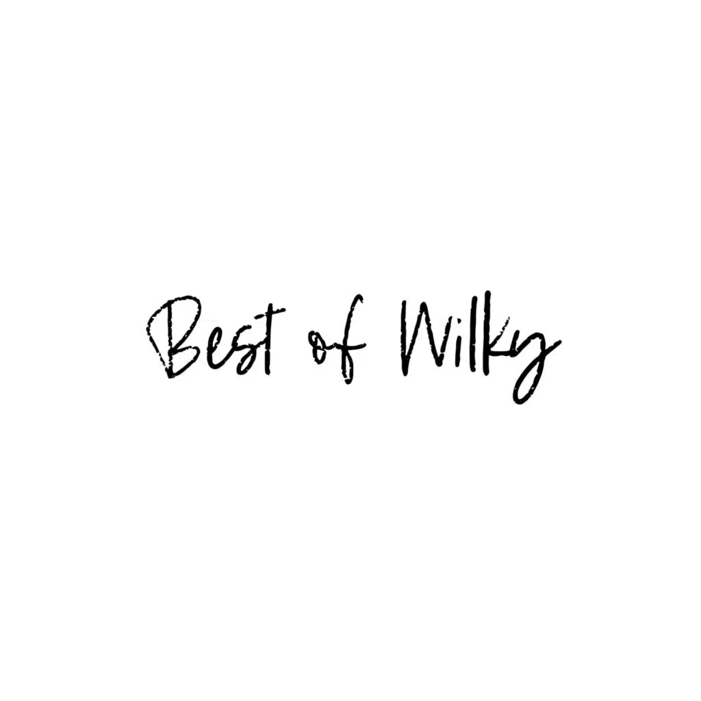 Best of Wilky