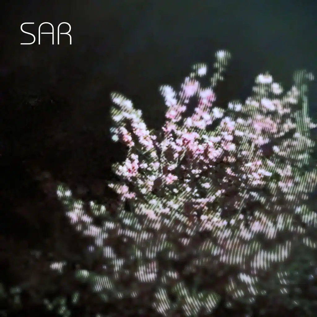 Sår