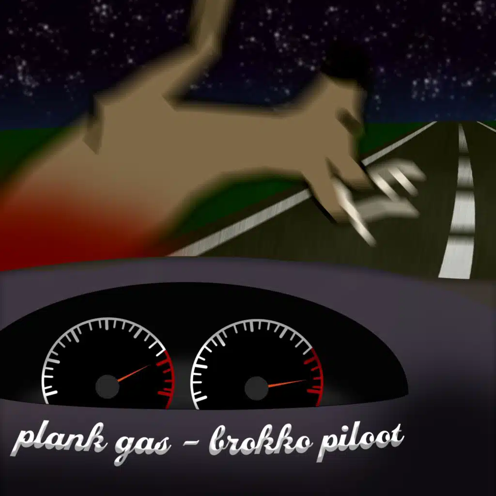 brokko piloot