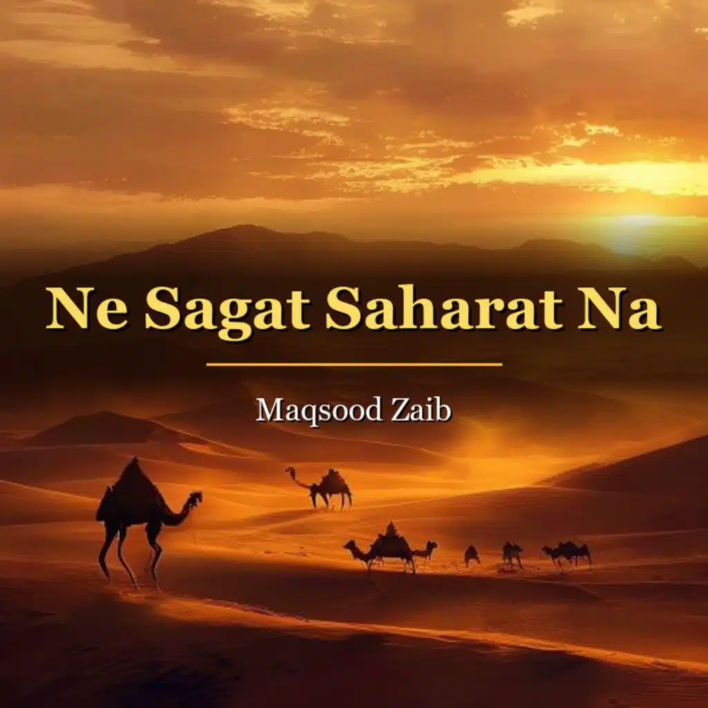 Maqsood Zaib