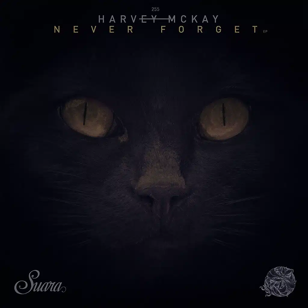 Never Forget (Original Mix)