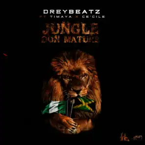 Jungle Don Mature (ft. Timaya & Ce'cile)
