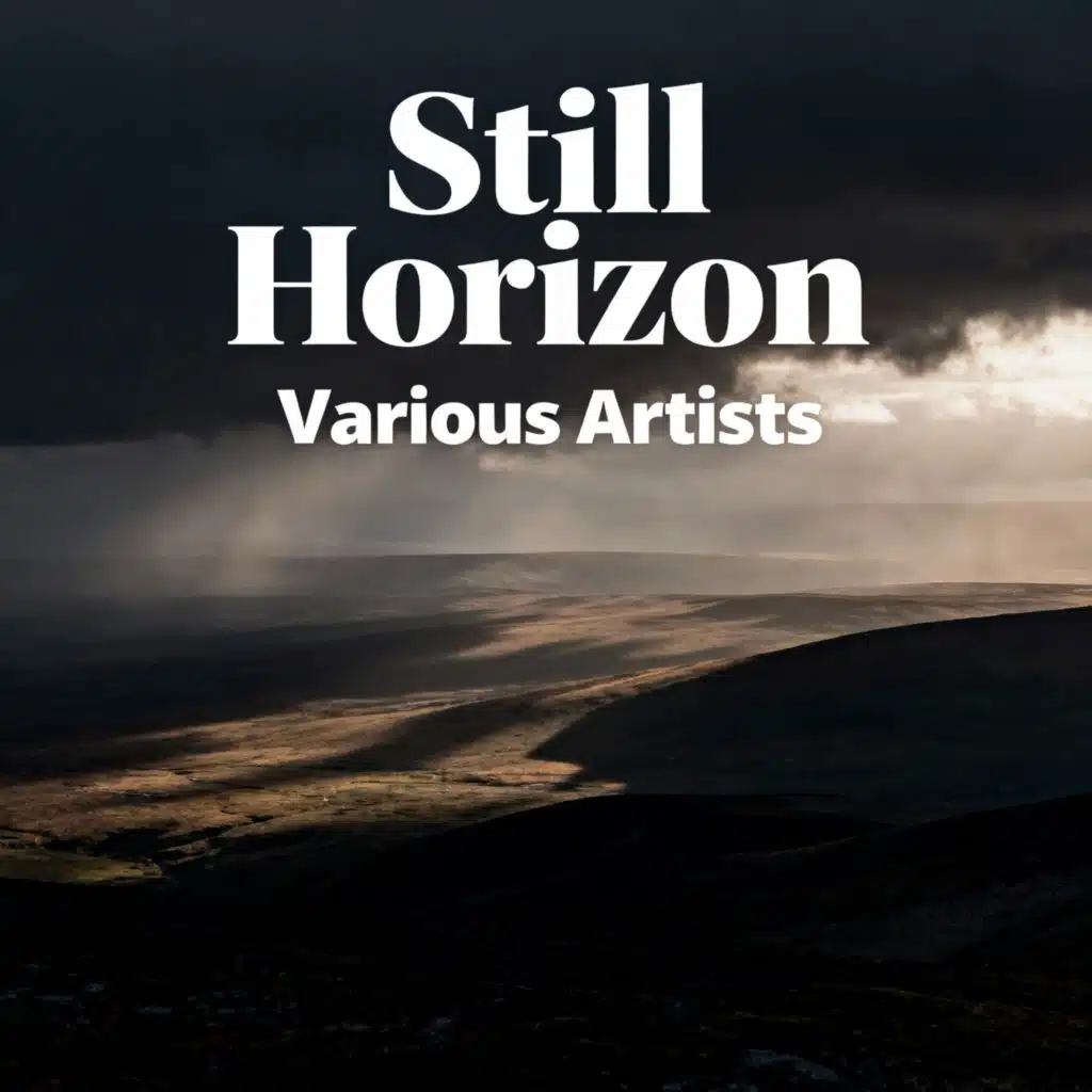 Still Horizon