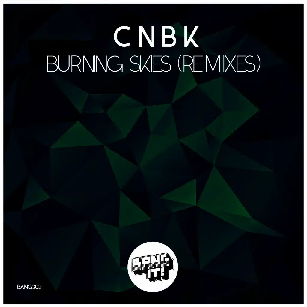 Burning Skies (Roone Remix)