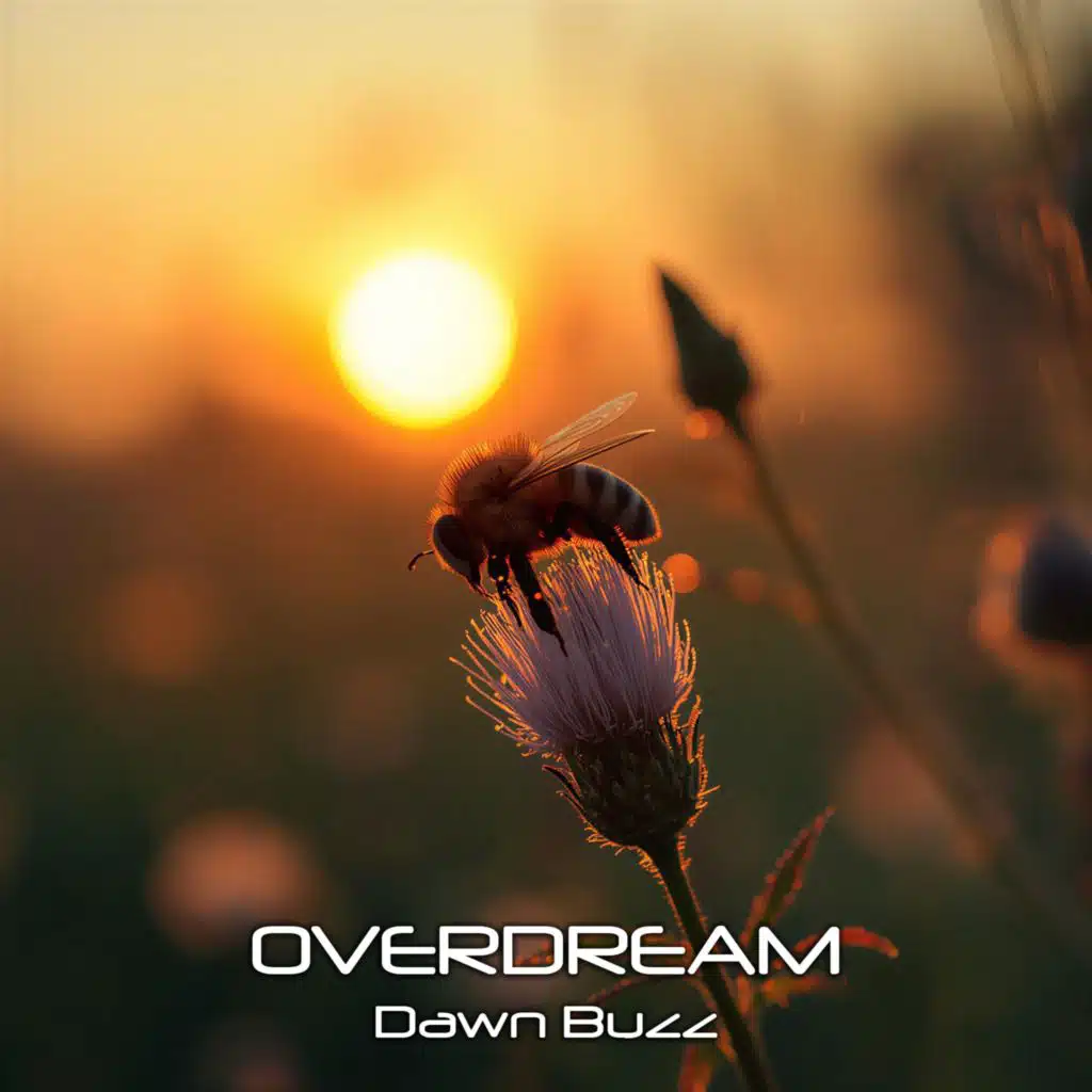 Overdream