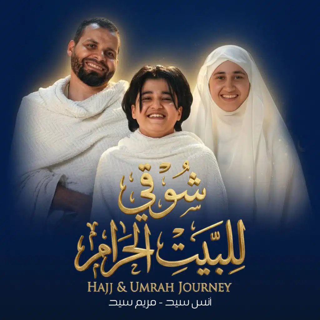 أنس سيد