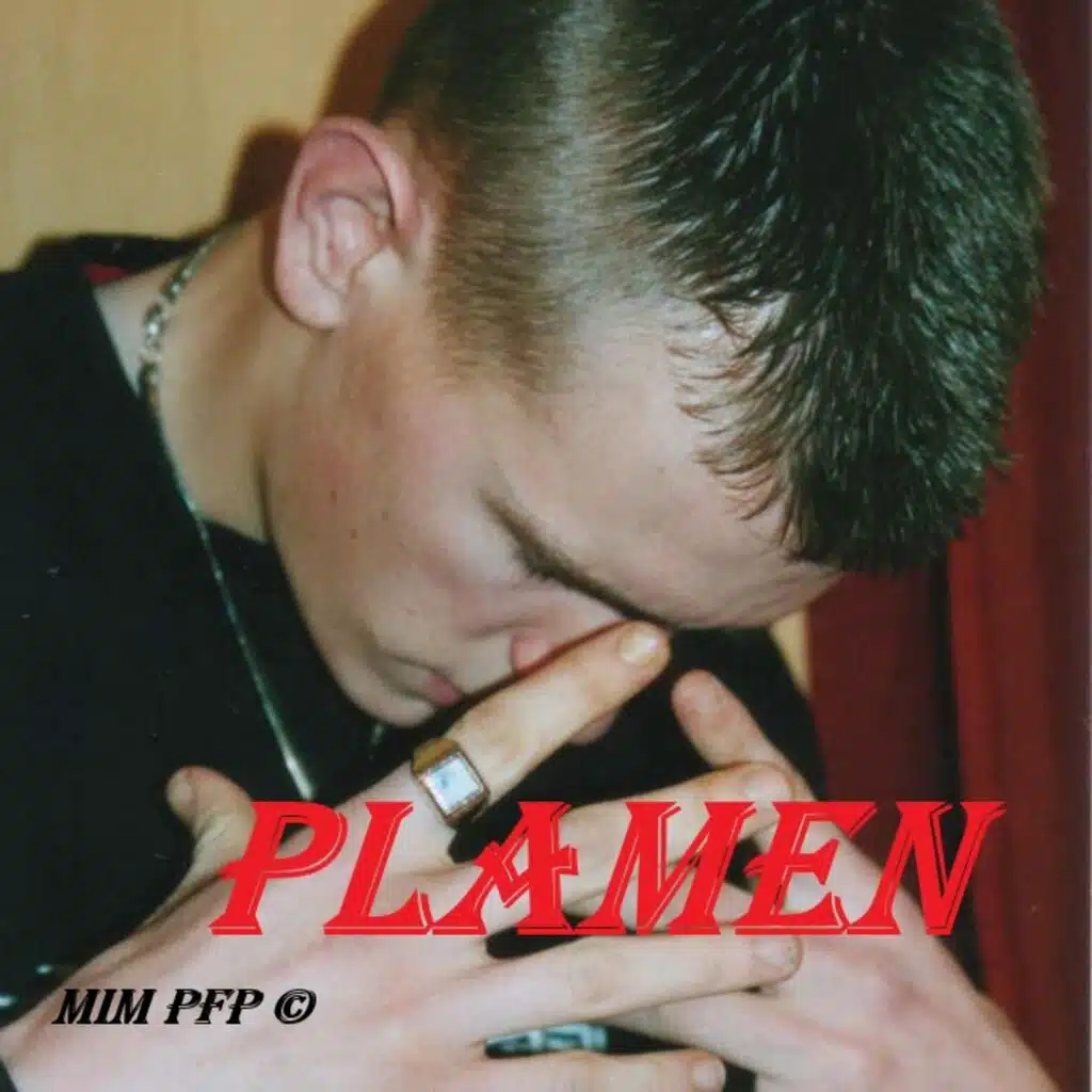 Plamen Pas Toujours Conscient De Ses Actes (version instrumentale)