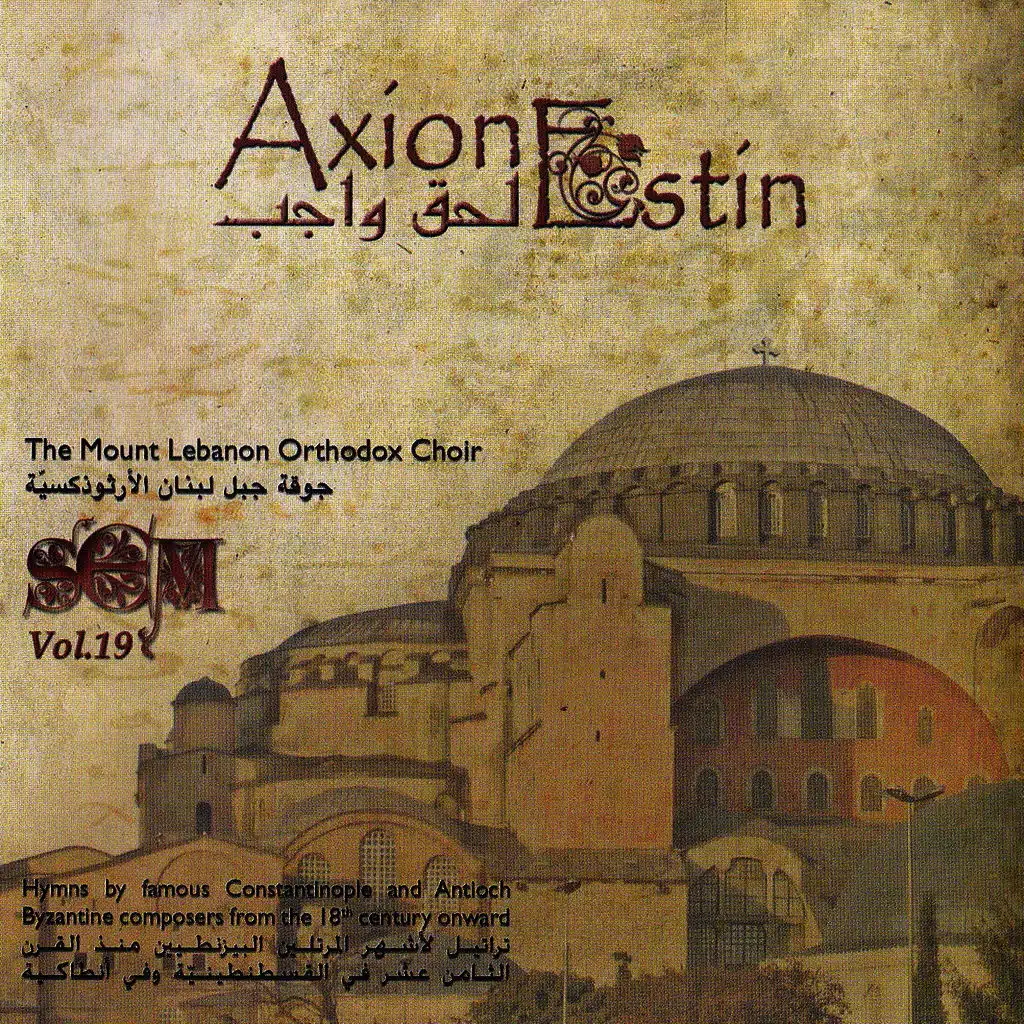 Axion Estin, Vol. 19