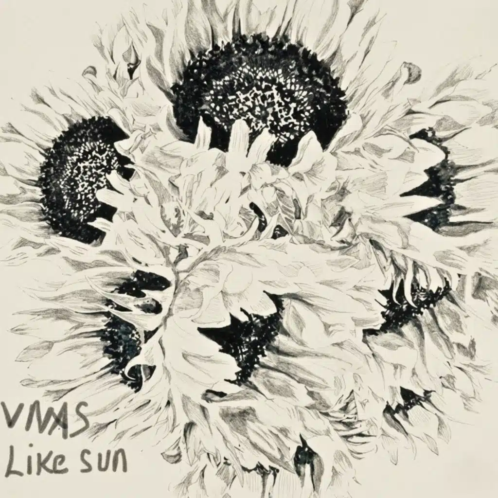 Vnas