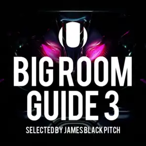 Big Room Guide, Vol.  3