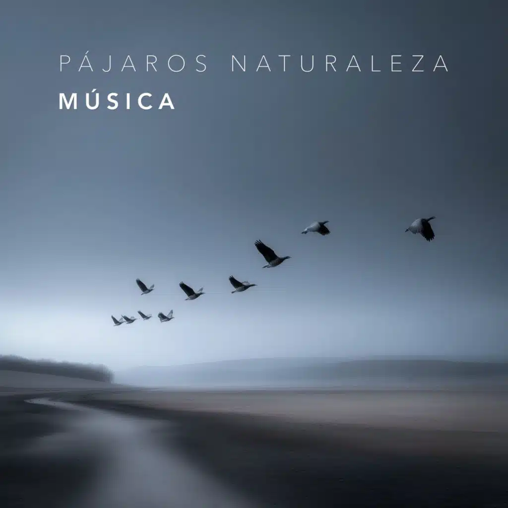 Sonidos De Pajaros, Sonido Del Bosque y Naturaleza, Sonidos De Aves & Sonidos De La Selva