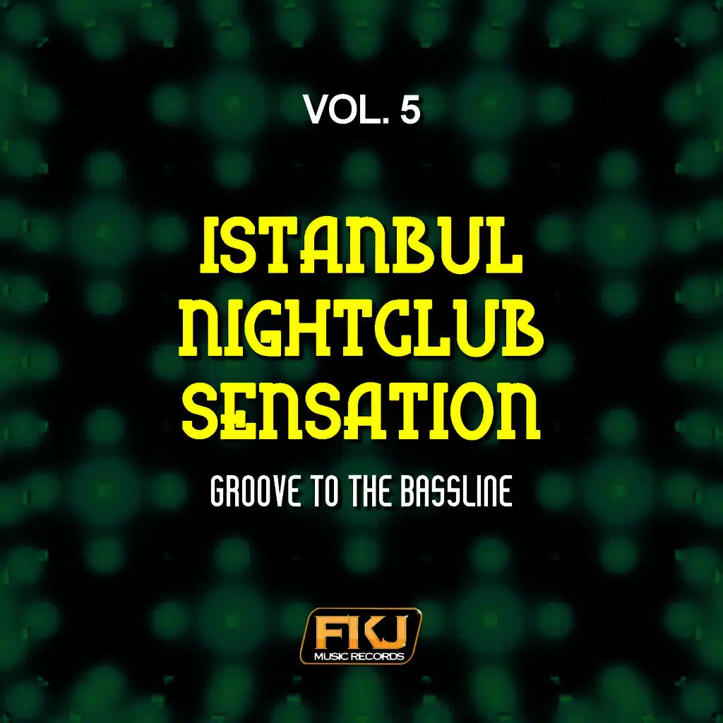 Istanbul Nightclub Sensation, Vol. 5 (Groove to the Bassline)