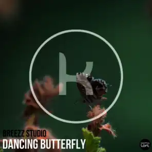 Dancing Butterfly (Remix 2017)