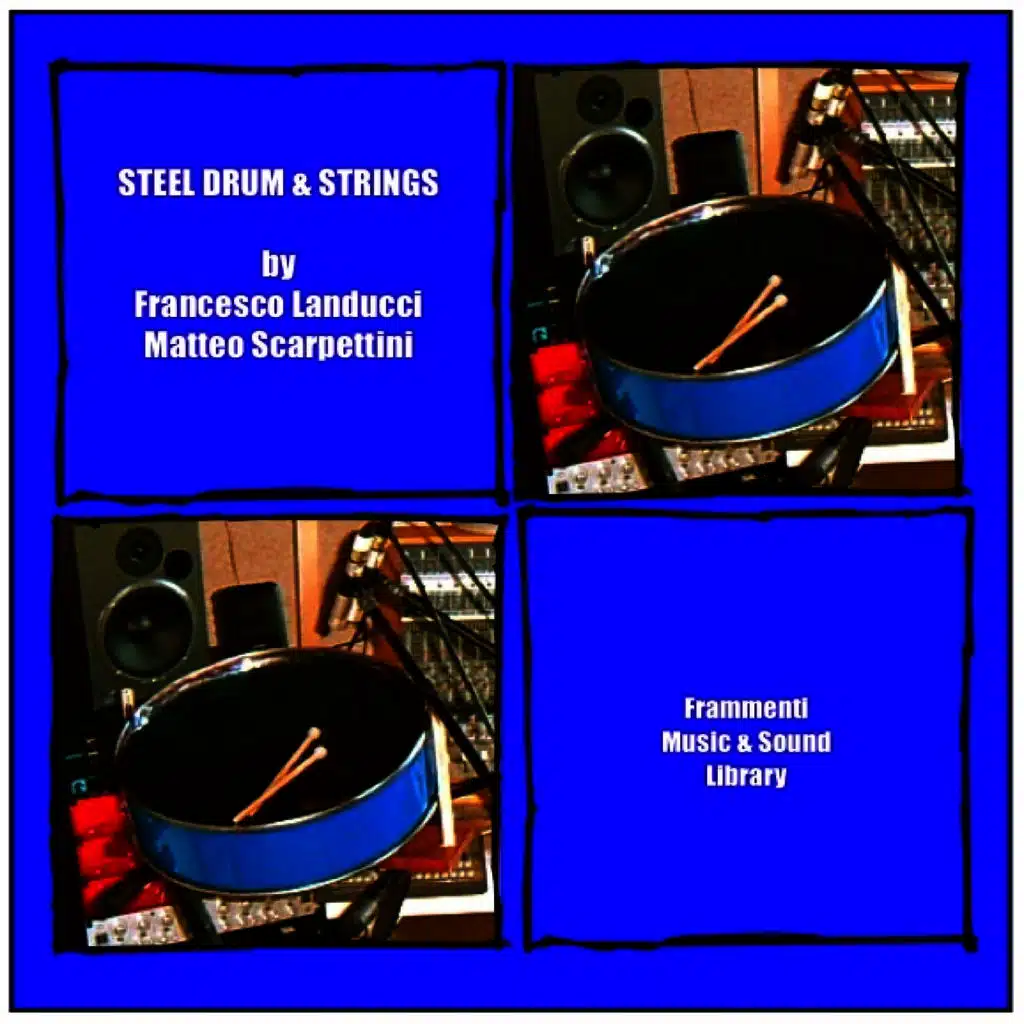 Steel Drum and Strings