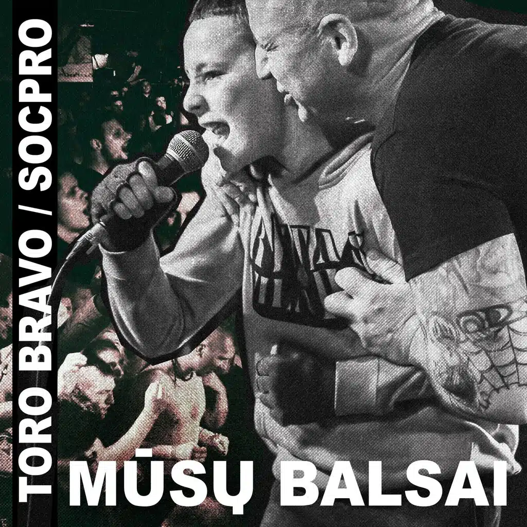 Toro Bravo