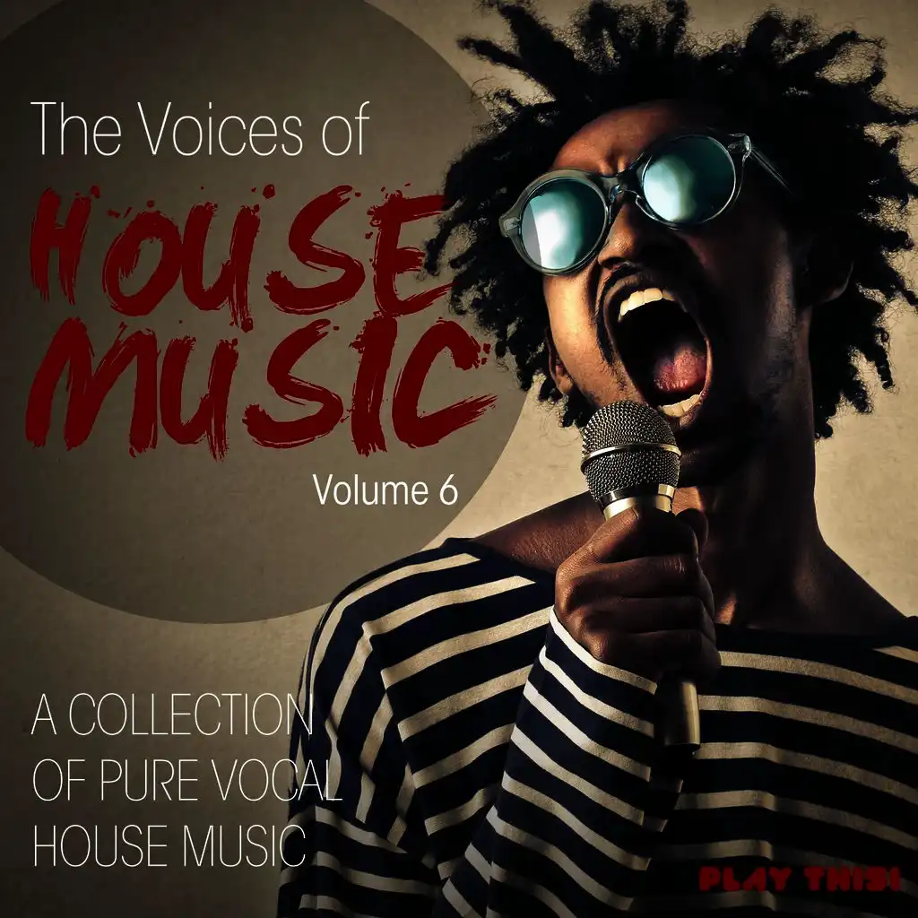 The Voices Of House Music, Vol. 6