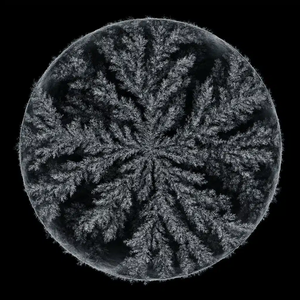 Seed (Ash Koosha Remix) [feat. Kathrin DeBoer]