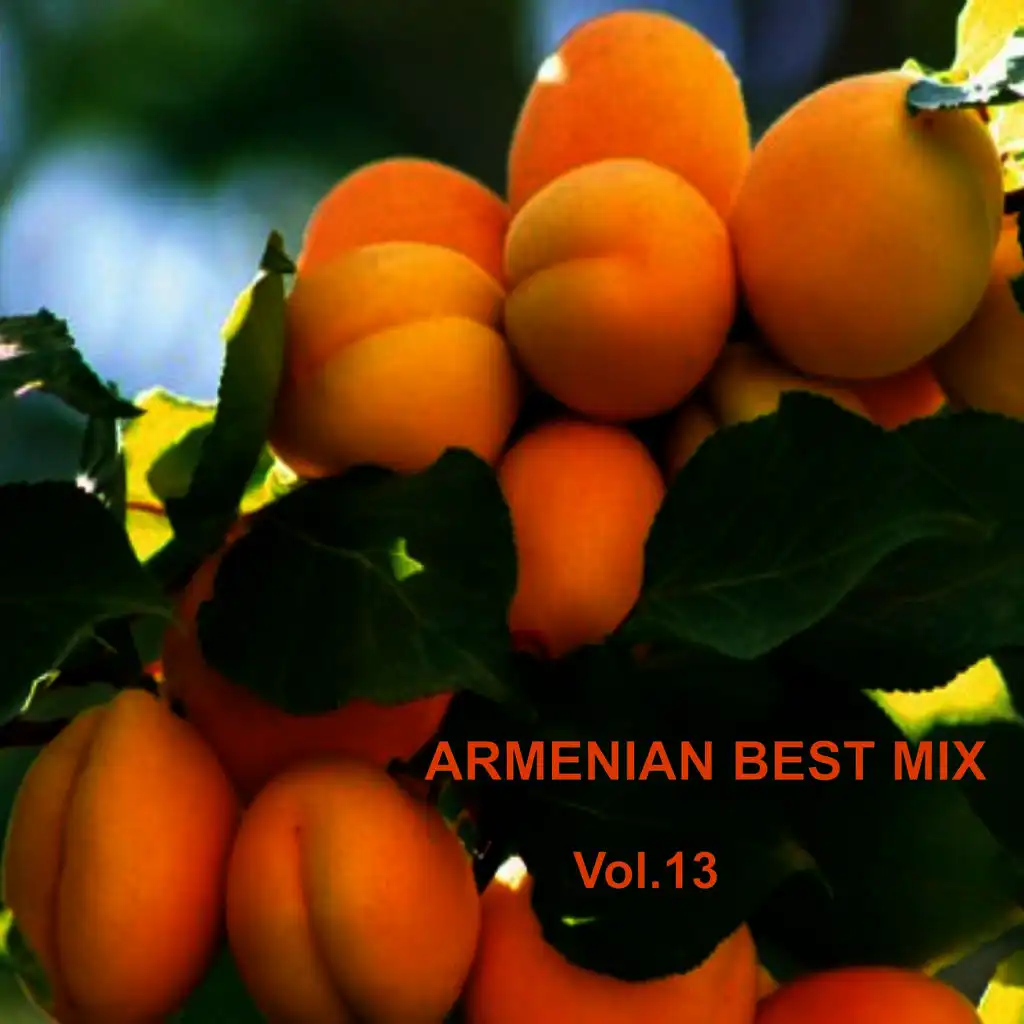 Armenian Best Mix, Vol. 13