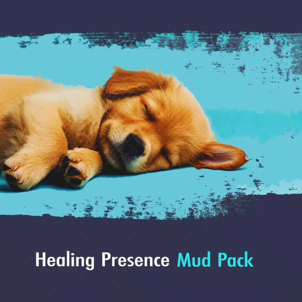Mud Pack