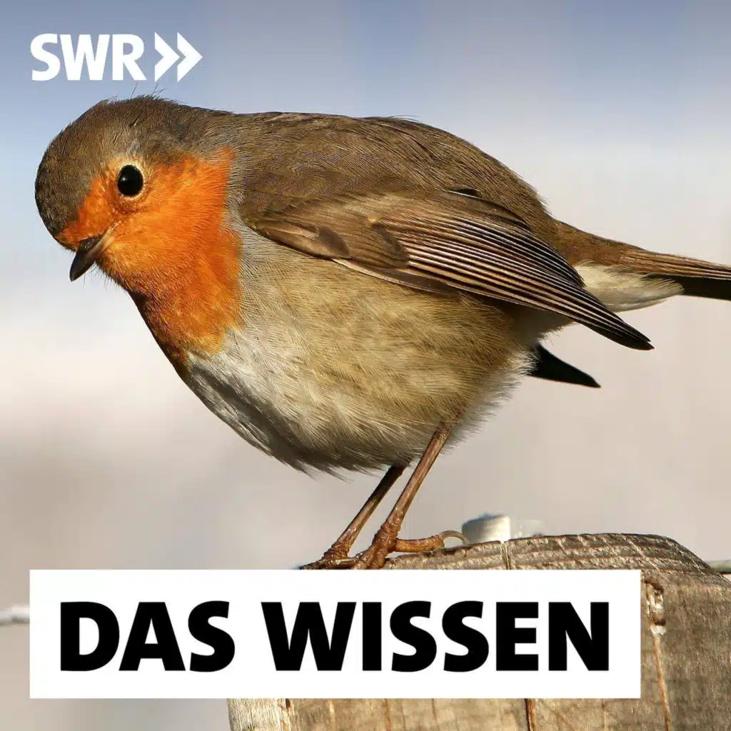 Quantenbiologie – Wie moderne Physik hilft, das  Leben zu verstehen
