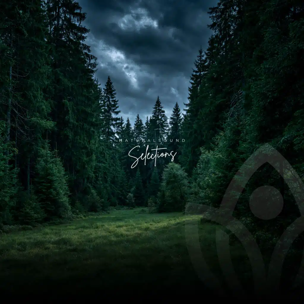 Forest Rain (Loopable)