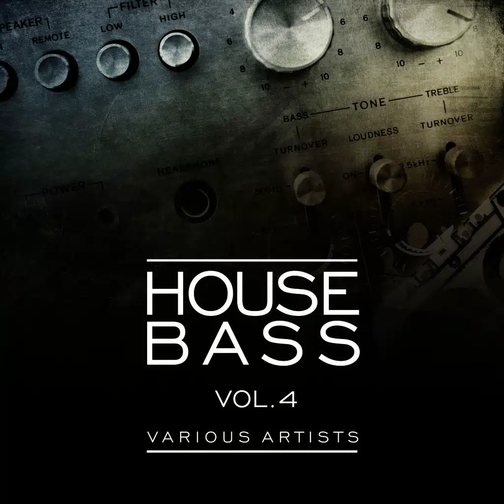 House Bass, Vol. 4