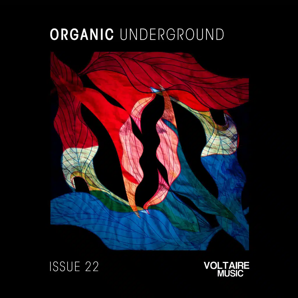 Depozyt (Laolu Remix)