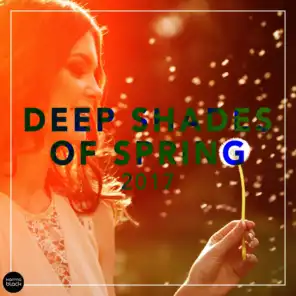 Deep Shades Of Spring 2017