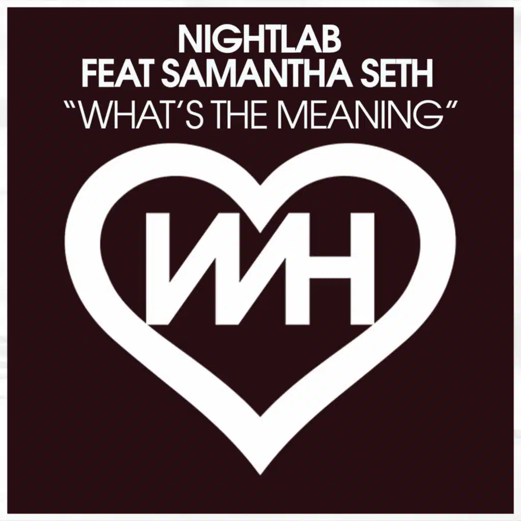 What's The Meaning (feat. Samantha Seth)