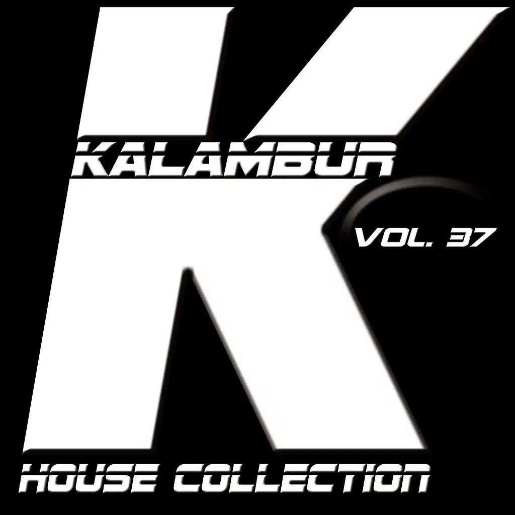 Kalambur House Collection, Vol. 37