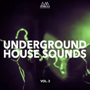 Underground House Sounds, Vol. 2