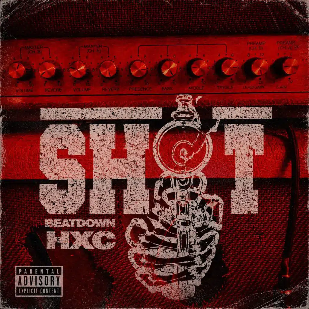 Shot