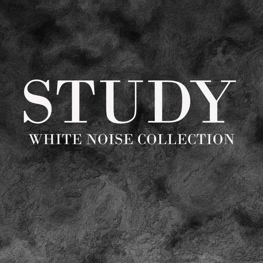 Study White Noise Collection
