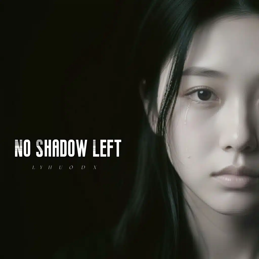 No Shadow Left