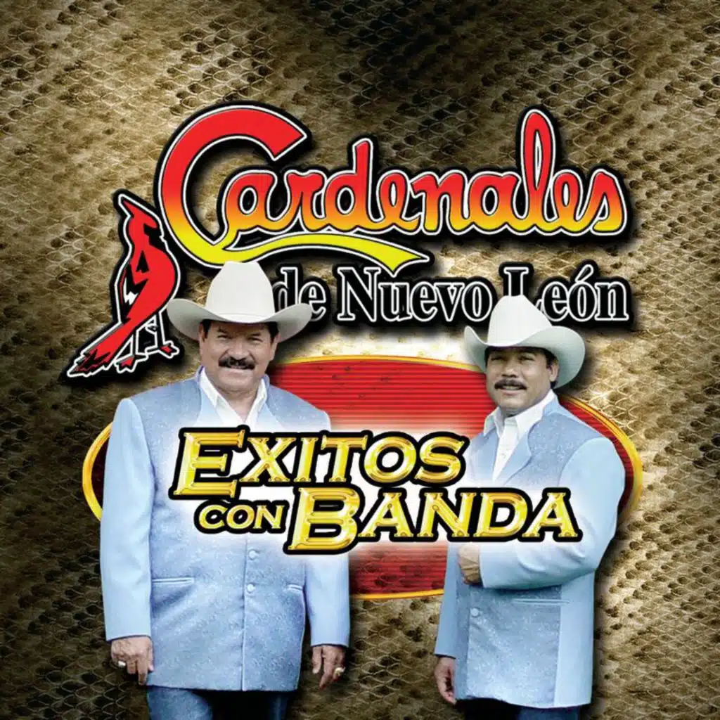 Cardenales De Nuevo León